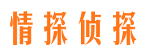 索县市私家侦探公司